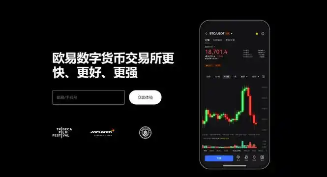 ok交易钱包下载页面展示